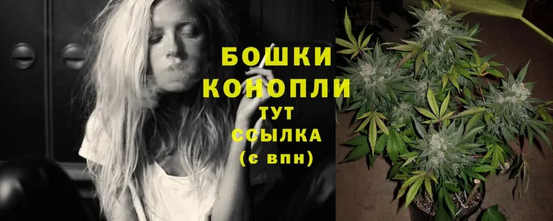 дарнет шоп  Курильск  МАРИХУАНА SATIVA & INDICA 